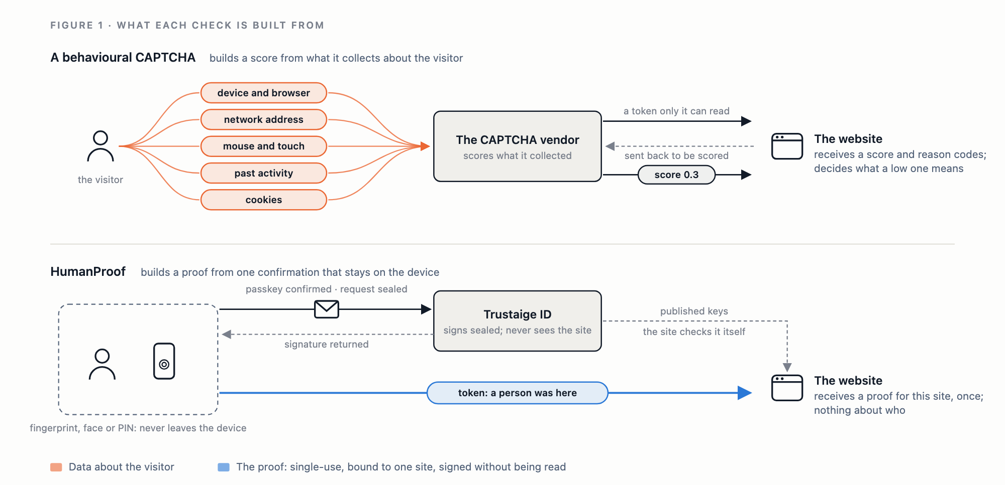Two lanes compare how each check is built. In the upper lane, a behavioural CAPTCHA draws five kinds of data from the visitor (device and browser, network address, mouse and touch, past activity, cookies) into the CAPTCHA vendor, which scores what it collected. The vendor hands the page a token only it can read, the website’s server sends that token back to be scored, and the vendor answers with a risk score of 0.3 and reason codes; the site decides what a low score means. In the lower lane, the person confirms with a fingerprint, face or PIN inside the boundary of their own device; a sealed request goes to Trustaige ID, which signs it without seeing the site and returns the signature; and a single-use token saying a person was here goes from the device straight to the website, which checks it with keys Trustaige ID publishes, without asking, and learns nothing about who.